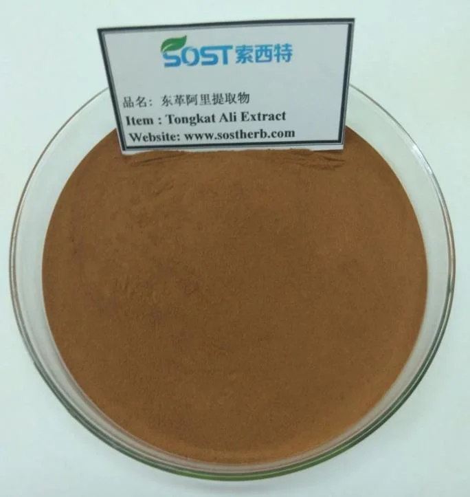 Men&prime;s Healthcare Product Plant Extract Tongkat Ali Extract Powder 200:1