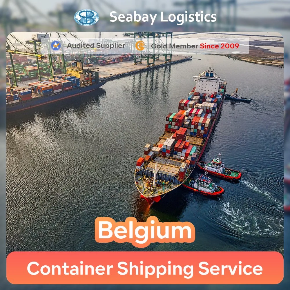 FCL LCL Sea Freight Transportation or China Sea Cargo Rates to Belgium