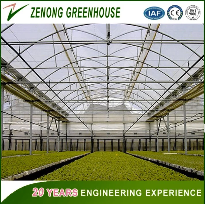 150/200 Micro Po/PE/EVA Film Covered Green House for Vegetables/Medical /Succulents Growing