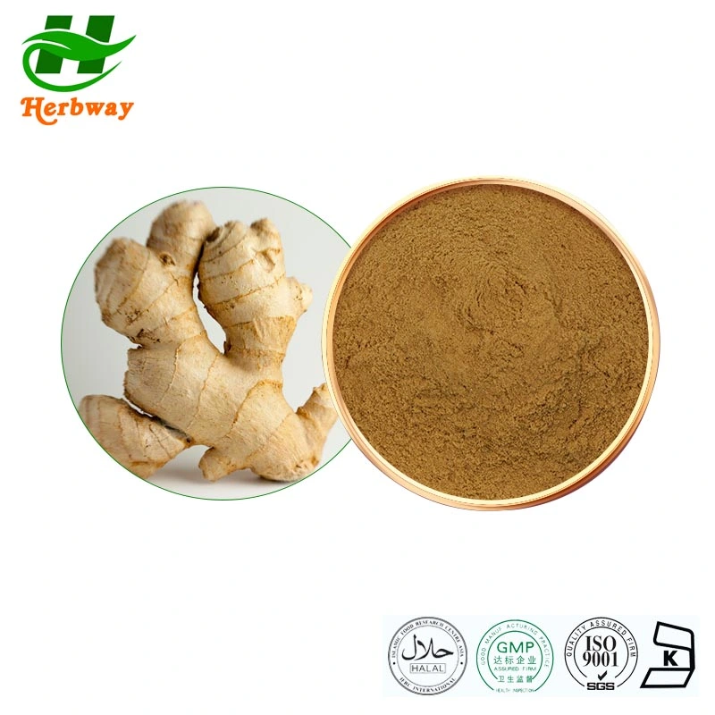 Herbway Anti-Hypertensionfactory Direct Sale Zingiber Officinale Extract Ginger Root Powder