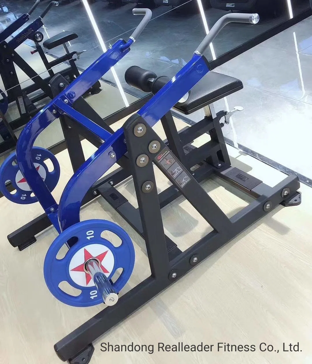 Wholesale Professional Triceps Extension Gym Equipment Plate Loaded Series (RS-1031)