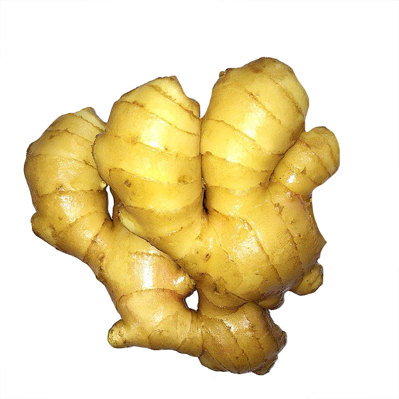 2023 Crop High Quality Chinese Fresh Ginger on Hot Sales