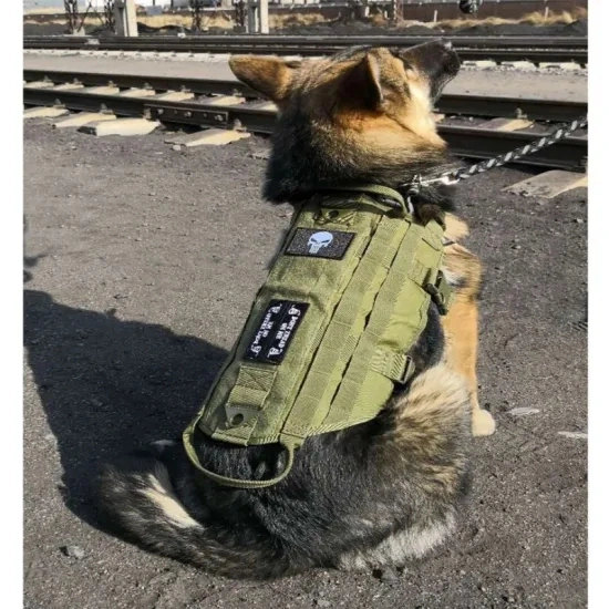 Wholesale/Supplier Tactical Training Military Nylon Vest Clothes Pet Products