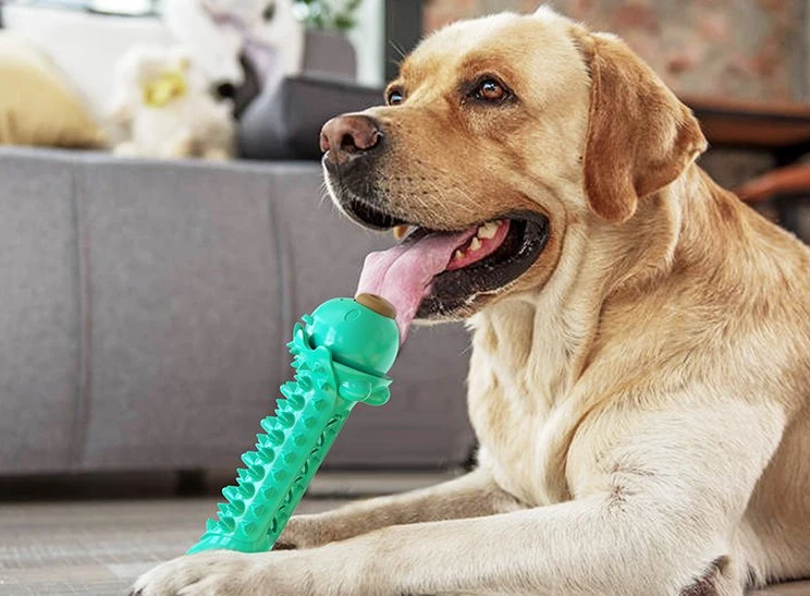 Hot Selling Pet Toys Dog Product for Clean Teeth