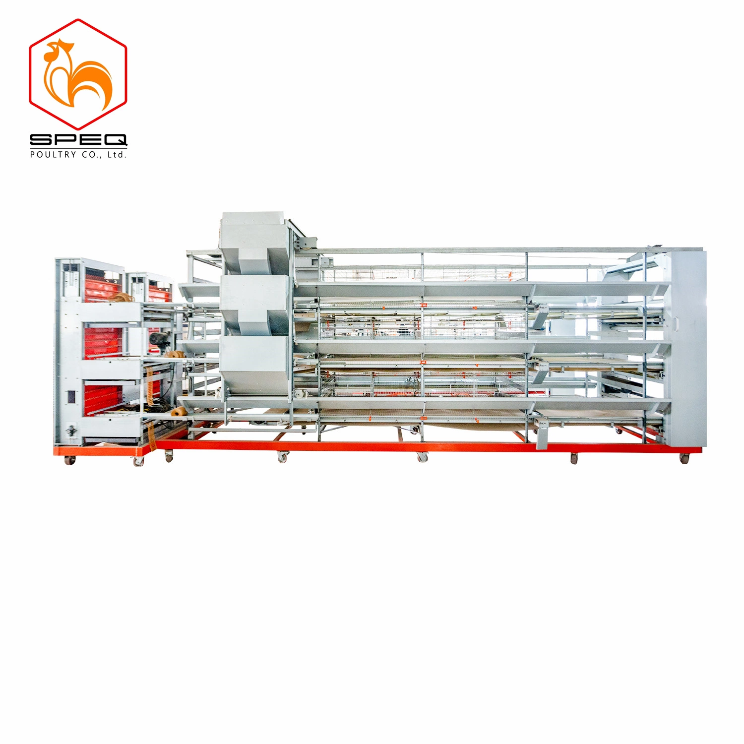 Livestock Machinery Automatic Poultry Farm Cage Feeding System for Layer