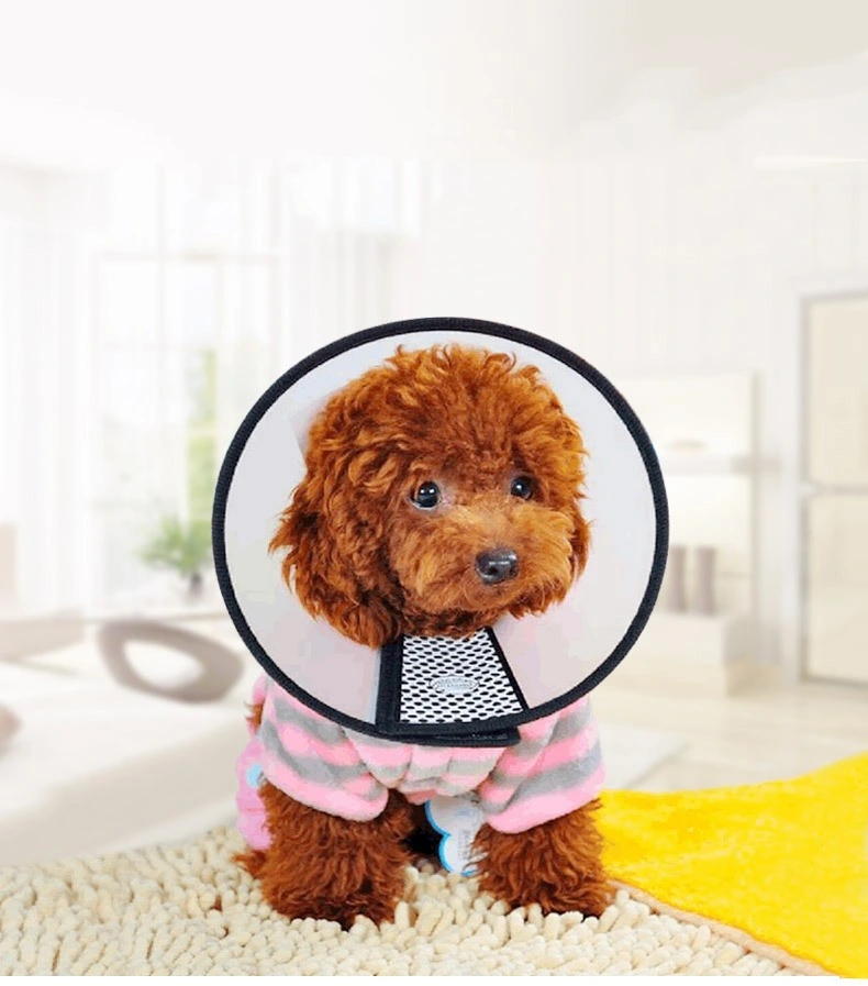 Pet Cosmetology Surgery Anti Licking Pet Collar Customizable Dog Elizabethan Collar