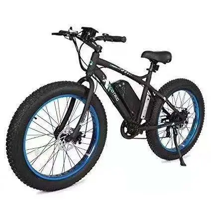 Pièces de vélo puissant vélo électrique LiFePO4 E-Bike batterie Ebike Li-ion Batterie
