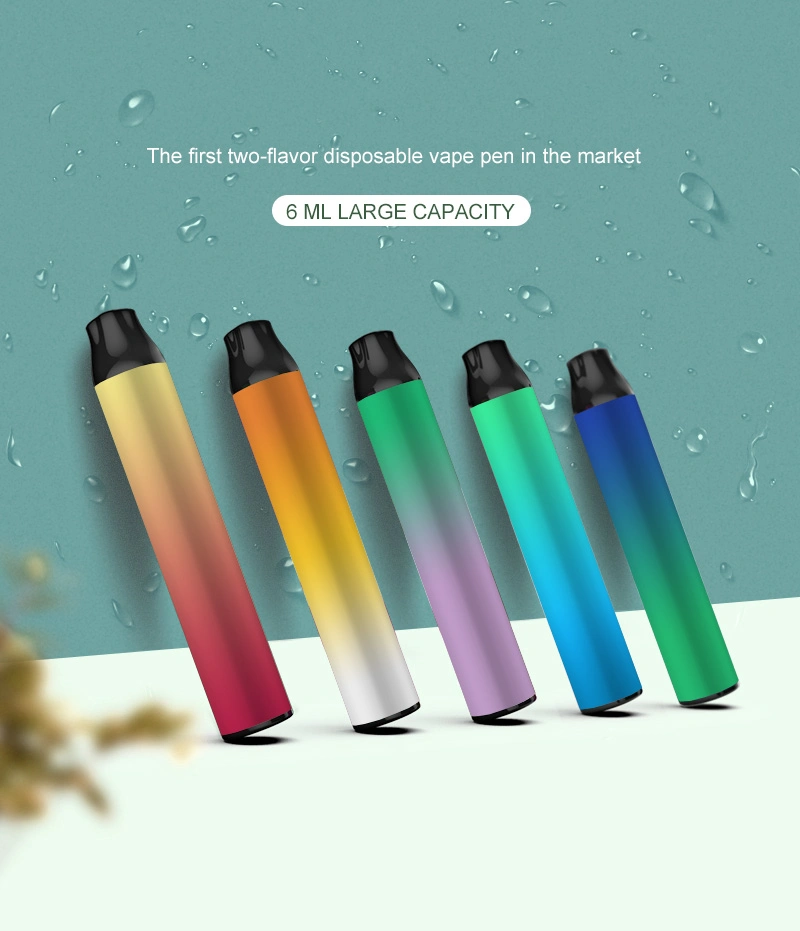 Custom Your Own Flavors 1200 Puffs Disposable/Chargeable Vape Pen with Nic Salt E Liquid