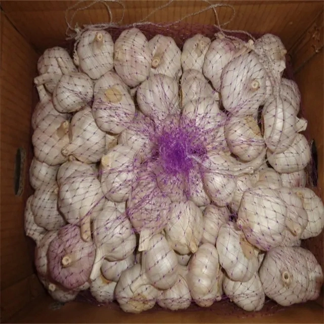 Fresh Normal White Garlic 10kg Carton Box Wholesale/Supplier Top Grade China Fresh Garlic Supplier