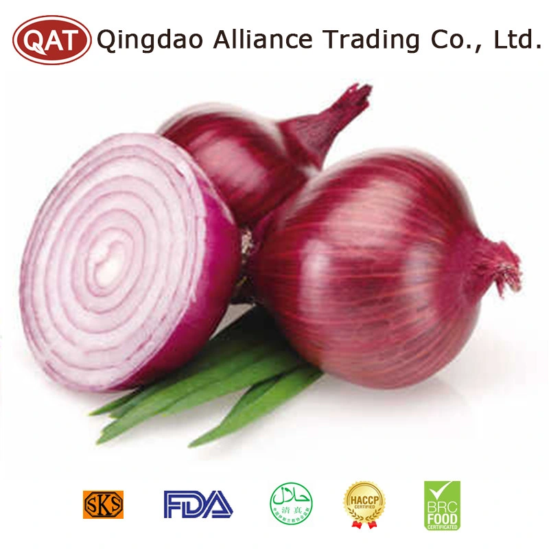 Top Quality China Fresh Purple Onion Vermelho Amarelo Onion Roxo Com bom preço em saco de malha de Carton a granel