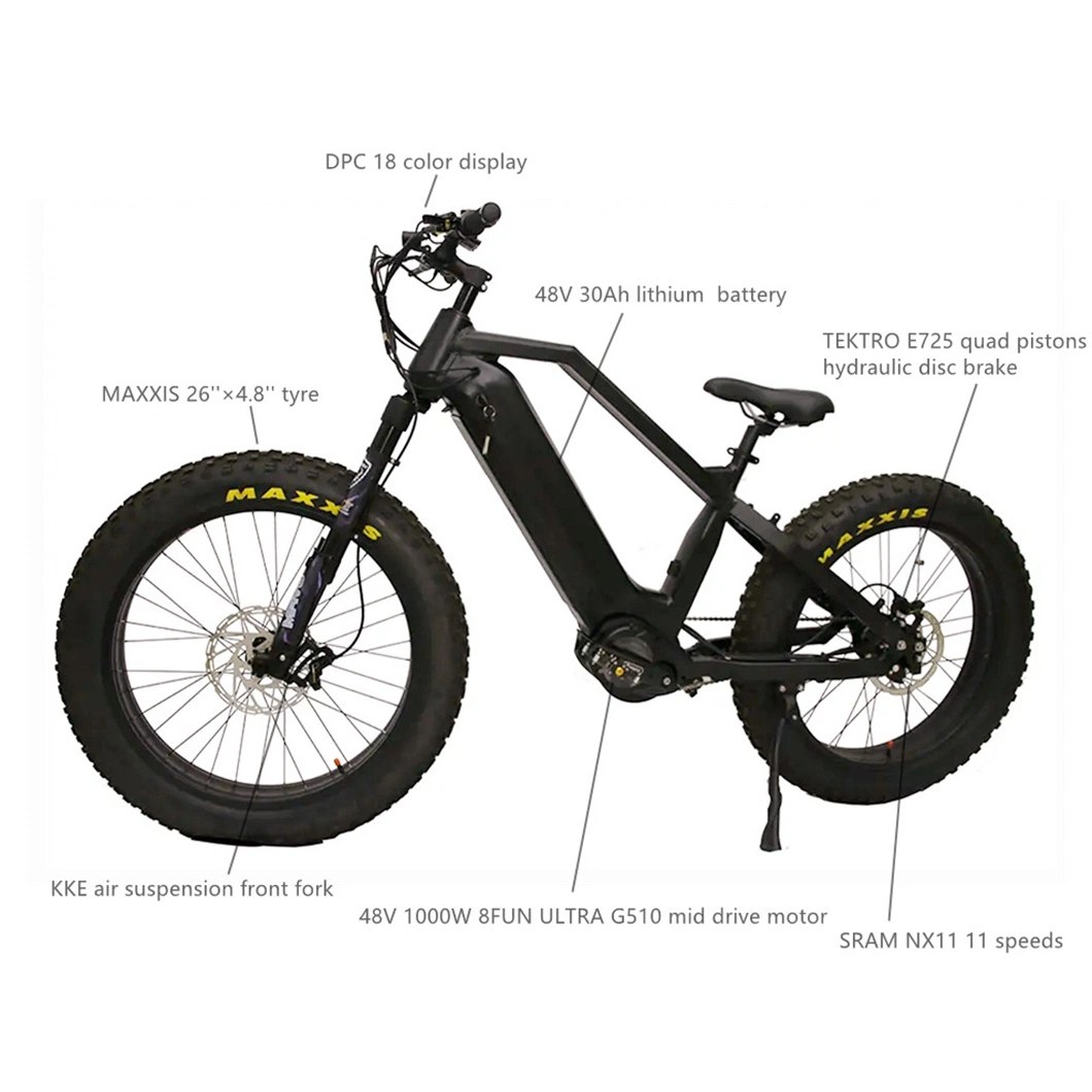 Bafang 1000W Motor Ebike 11 Speeds Electric Bicycle Bike with 30ah Battery