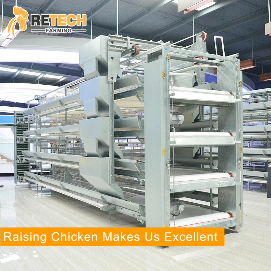 Good Price Automatic Poultry Farm Equipment Battery Layer Chicken Cage for Sale