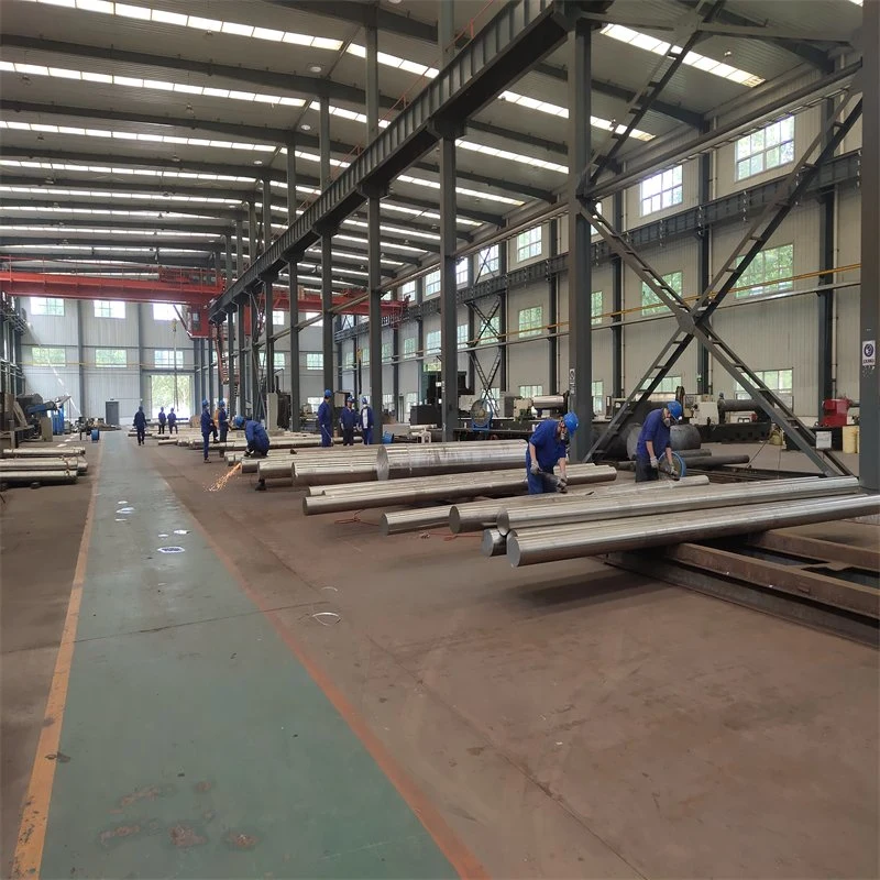 F55 Duplex Stainless Steel (UNS S32205, 1.4462)