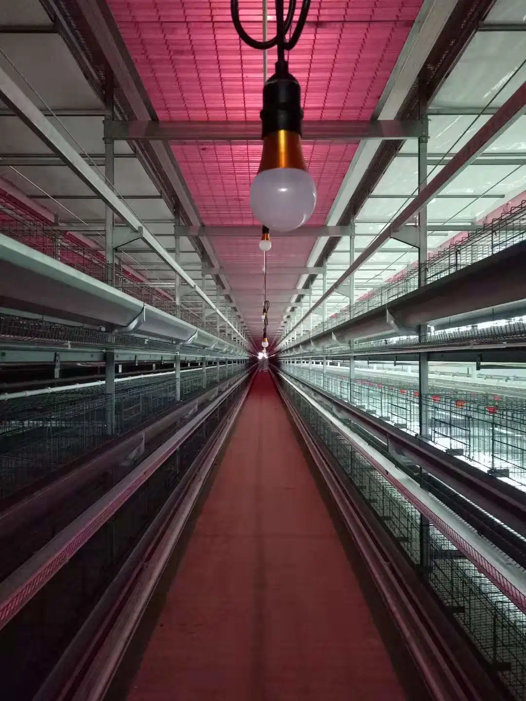 Un design moderne H de type automatique les élevages de volailles des cages de poulet de la couche de la batterie