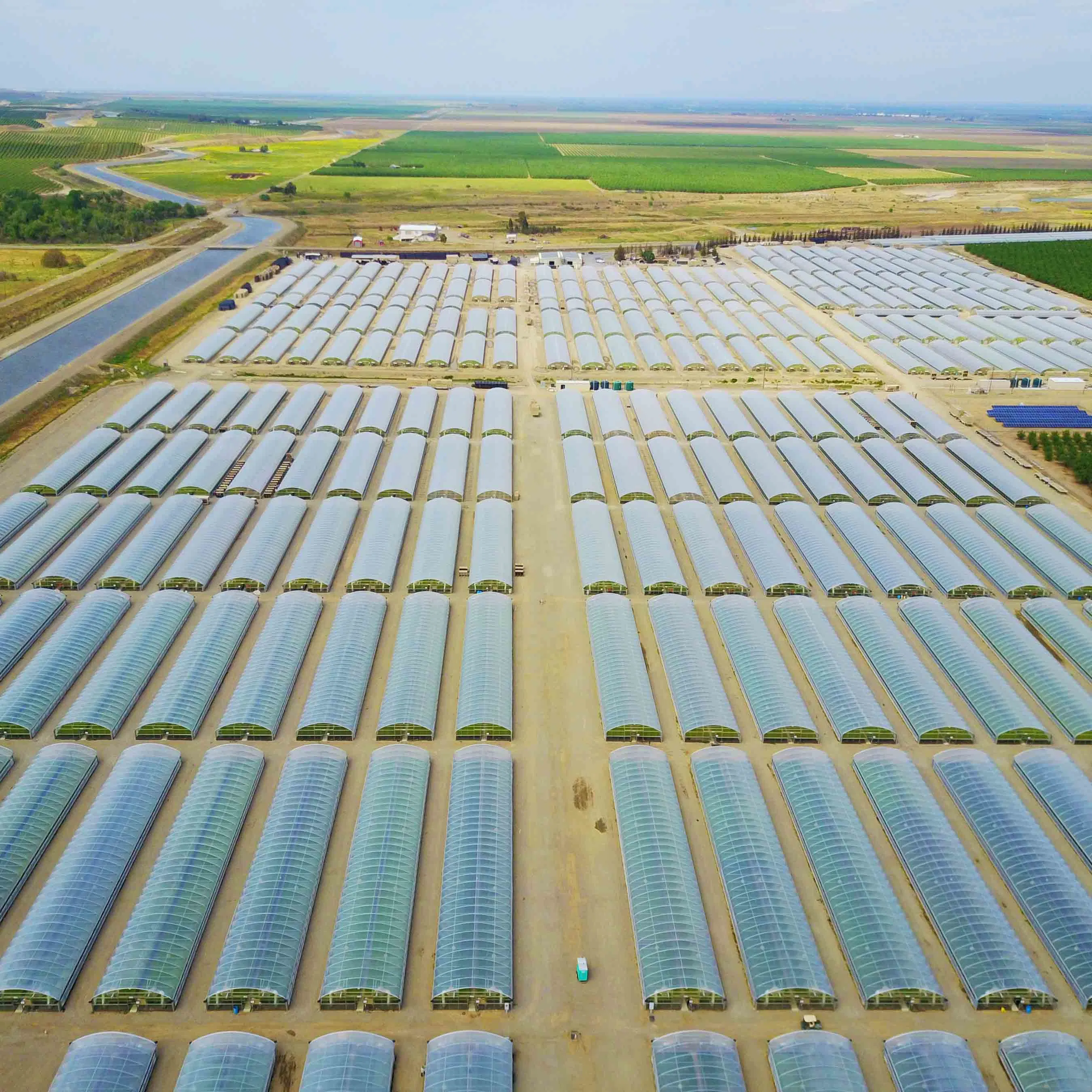 2023 Low Cost Landwirtschaftliche Polytunnel Gewächshaus für Gemüse