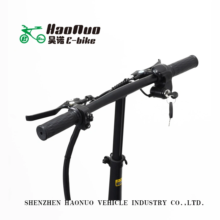 14 Inch 48V 350watt Fold Product Electric Bike