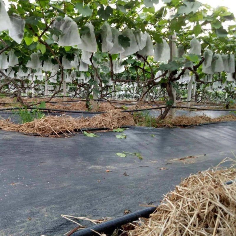 High quality/High cost performance  Garden Nursery Weed Control Ground Cover Weeding Cloth