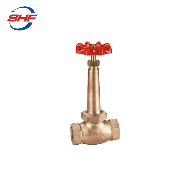 Hot Sale Marine Bronze B62 B61 DN65 Flange Globe Valve