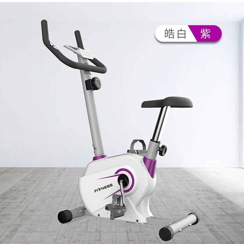 Home Gym Office Fitness Equipment Light Exercise Spinning Bike