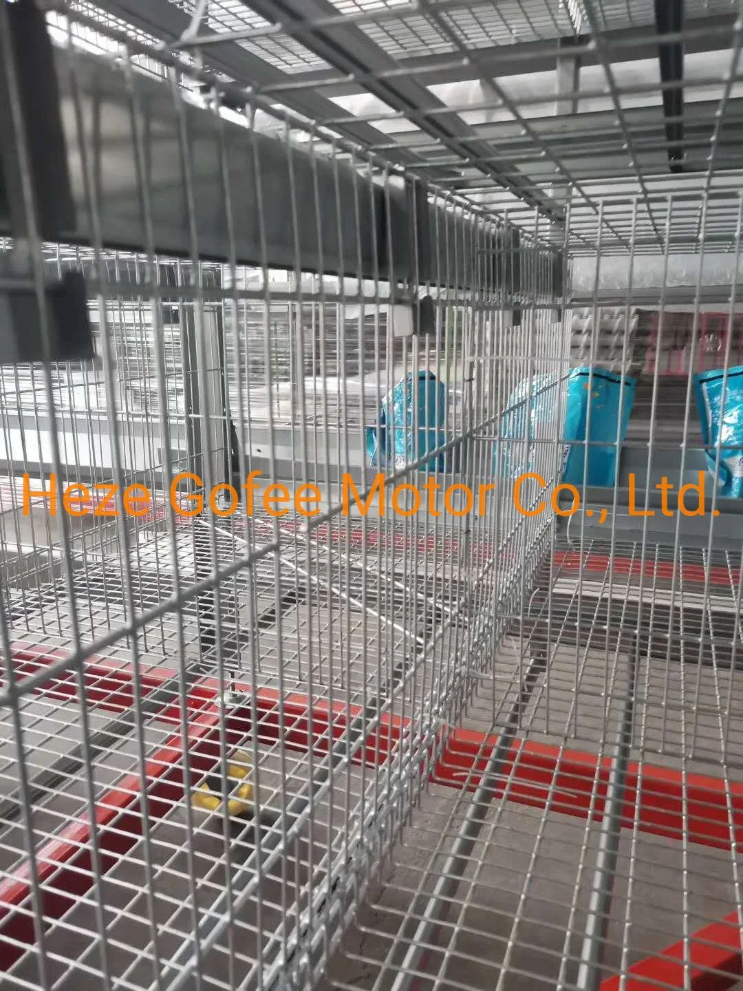 Estábulo construção Sturdy Aço inoxidável pernas de frango Equipamento de fazenda camada Sistemas Aviary Cage