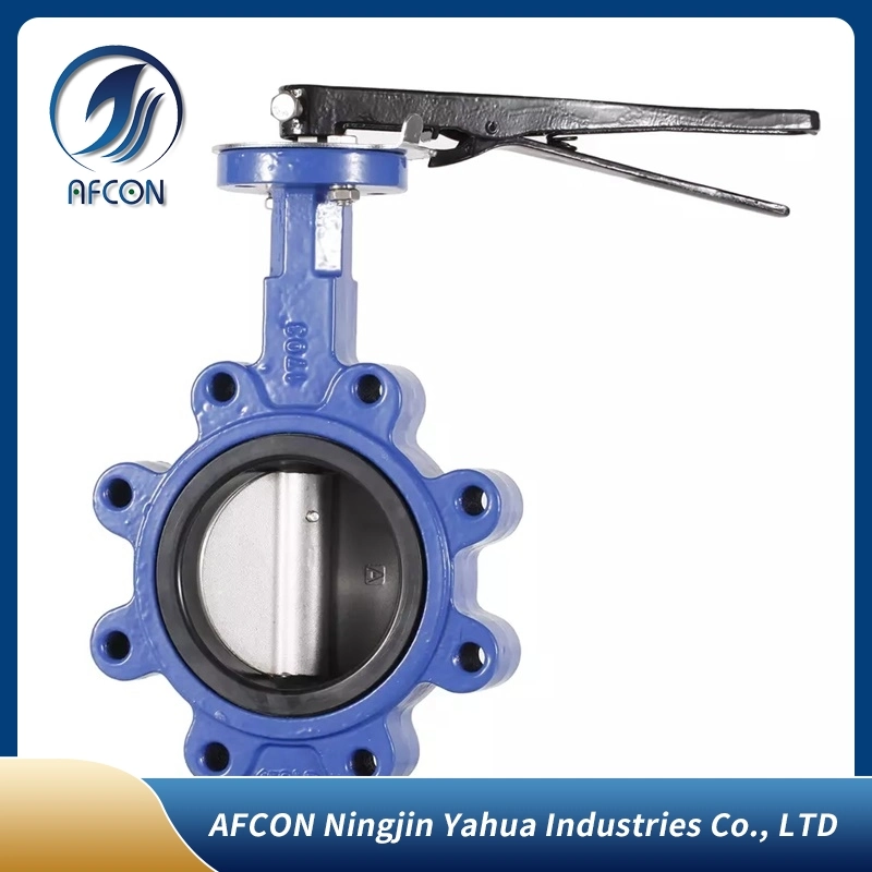 Custom Ductile Iron / Cast Iron Wafer Butterfly Valve