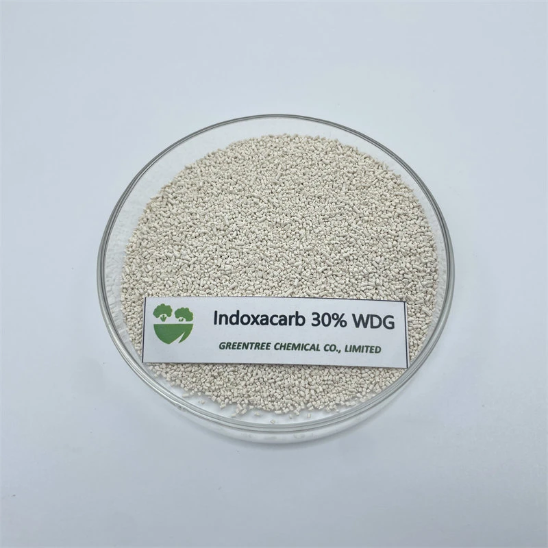 Hot Sale Insecticide Indoxacarb 30%Wdg CAS 144171-61-9