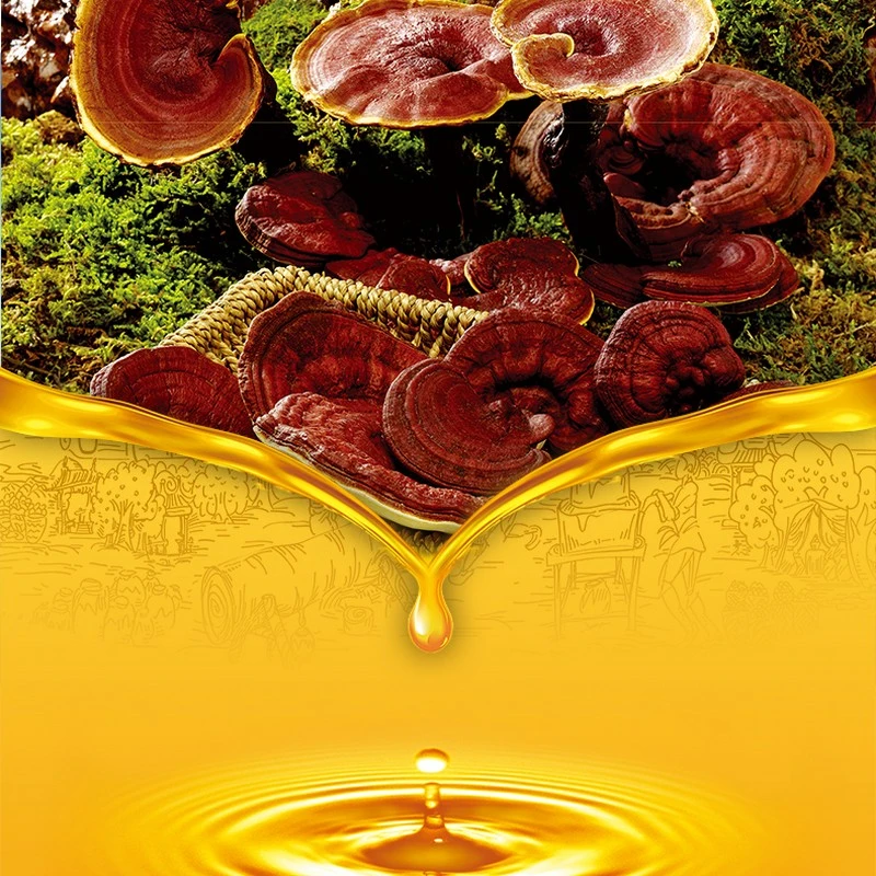 20% Triterpenes Organic Ganoderma Lucidum Spore Oil Healthcare Supplement Free Shipping