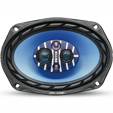 300 W Max. 6&quot; X9&quot; Car Speaker (TS-WA9300)