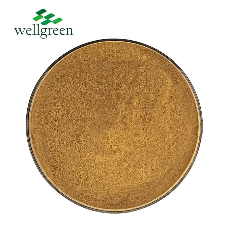 Water Soluble Saponin Natural Dried Hedera Helix Leaf IVY Extract