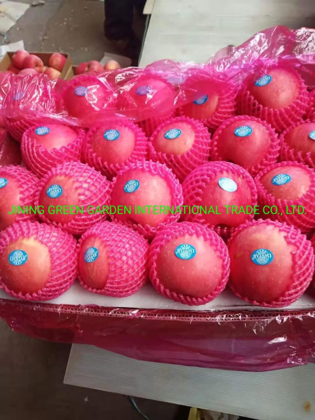 Top Quality Fruit Chinese Red Fresh FUJI Apple Export Price