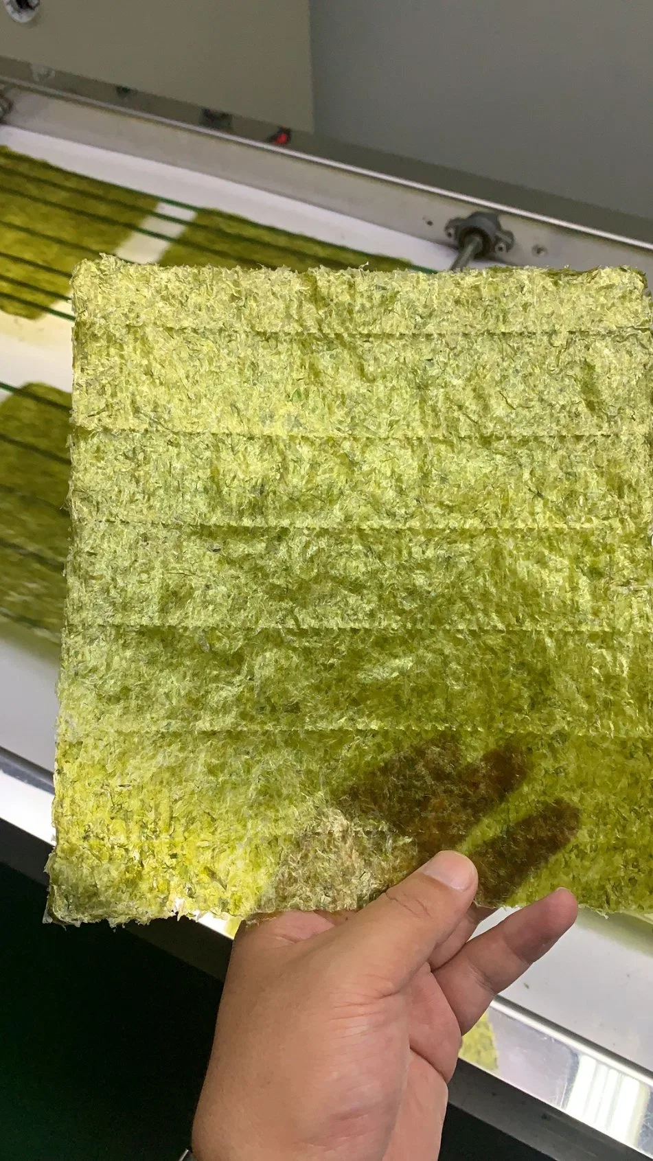 50 листов обжаренные морские водоросли, яки суши Nori - Синий