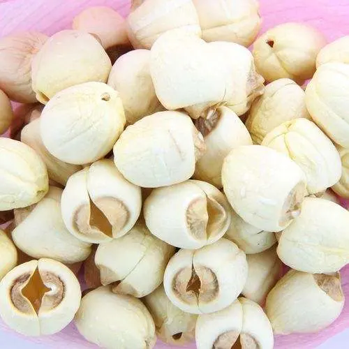 La mejor venta de semillas de loto secas a granel semilla de hierbas medicinales