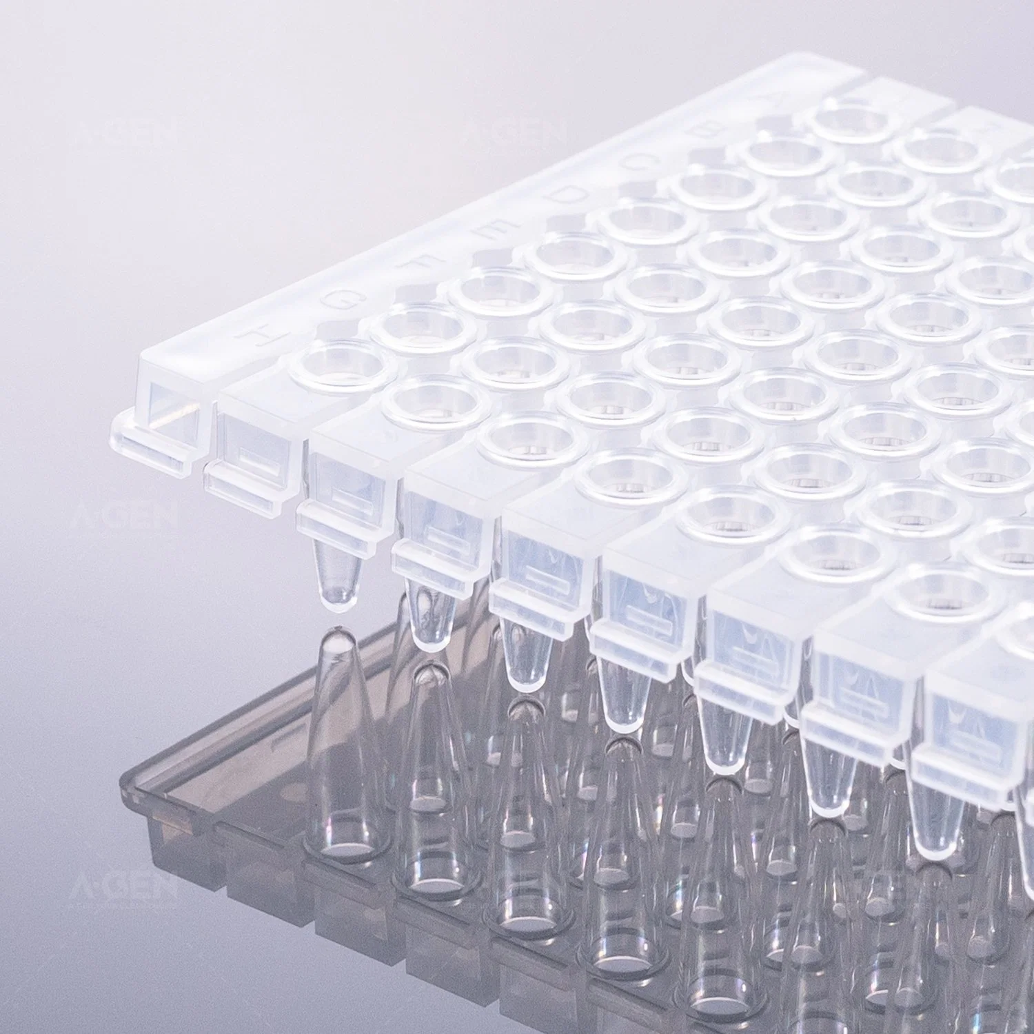 Detachable 0.2ml 96 PCR Plate, Clear, Half Skirt