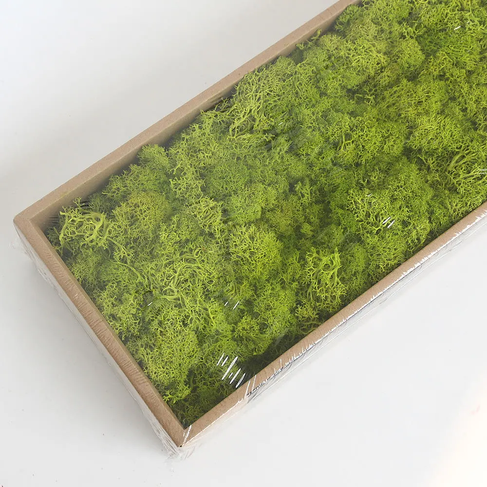 Wholesale Natural Moss Preserved Reindeer Moss Panel for Wall Decoration