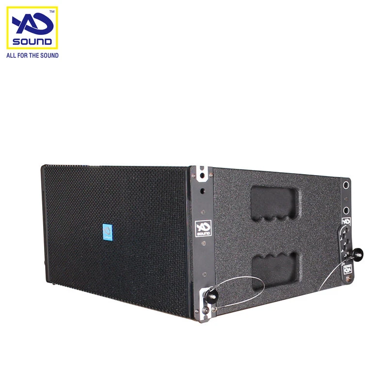 Line Array, PRO Audio, Tw D10L Line Arrey