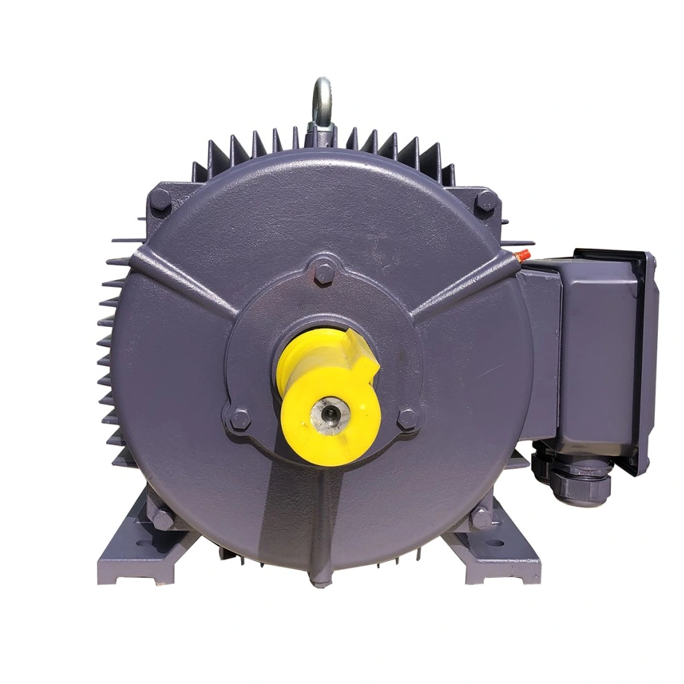 Premium Efficiency Three Phase Electrical Electric AC Induction Industrial Motor