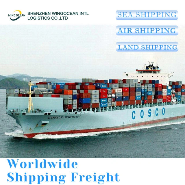 Cheapest and Low Price DDP Sea Door to Door Shipping From China to Dubai/ Saudi Arabia/ Kuwait