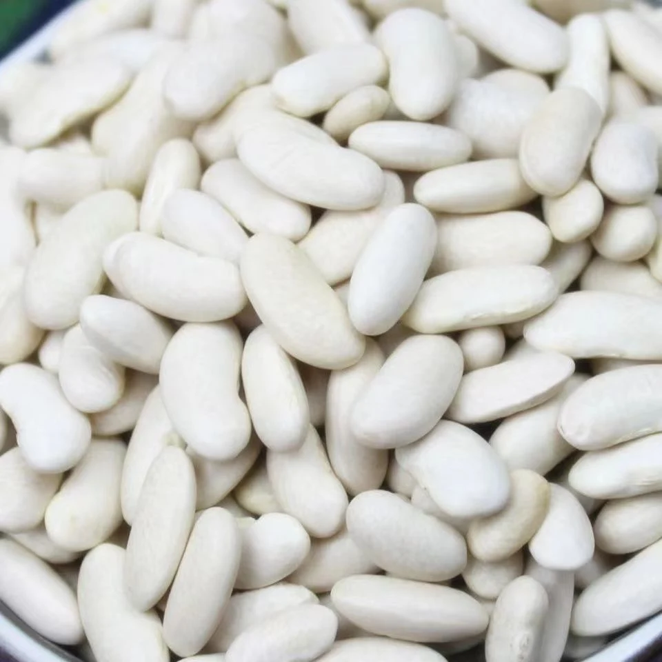 Baishake Health Food White Kidney Bean