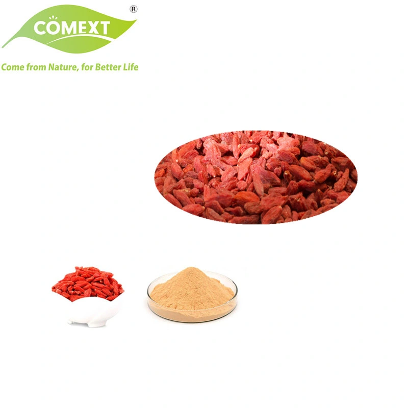 Comext Bulk Improve Immunity Reduce Blood Sugar Wolfberry Fruit Natural Freeze Dried Lycium Goji Berry Extract