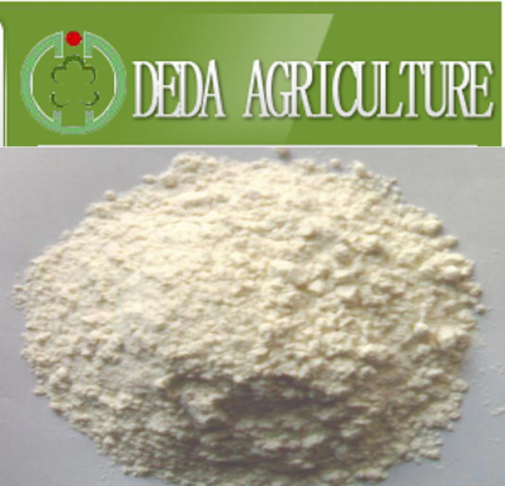 Rice Protein Powder Animal Feed High Quality