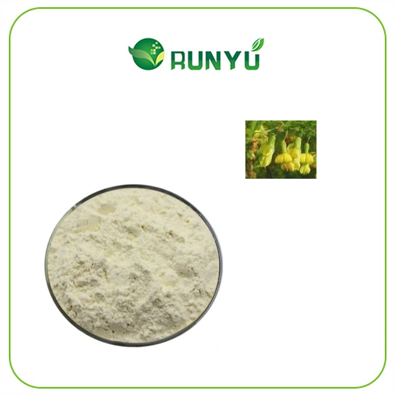 Wholesale Price Pure Organic Natural Sophora Fruit Extract 98% Genistein CAS 446-72-0