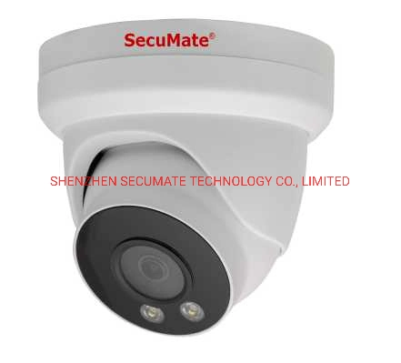 Ingenic T31n+Gc2063 Full Color CCTV Surveillance IP Network Security Turret Dome Camera with Audio Microphone From OEM NVR CCTV Camera Supplier Hikvision NVR