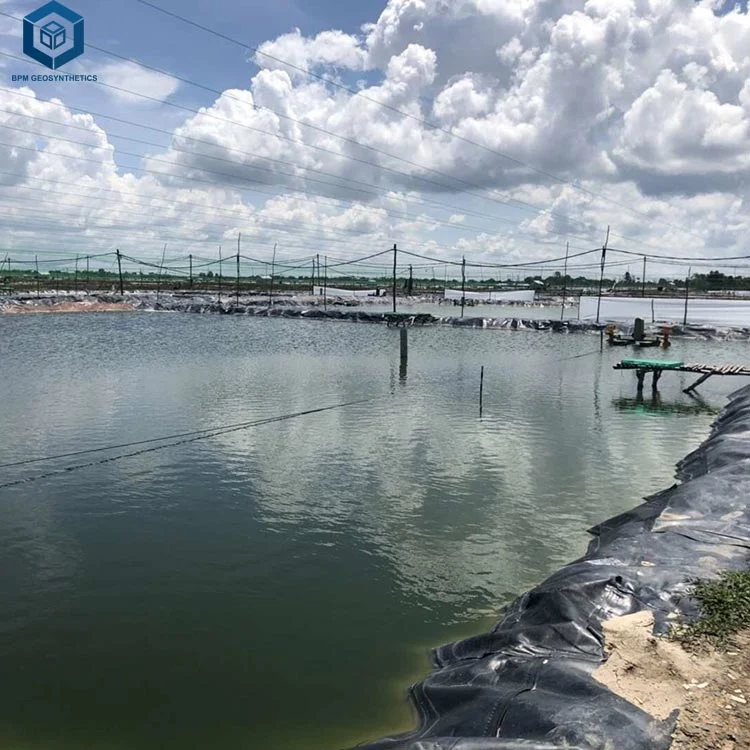 High Quality Black Preformed Raised Fish Farm Ponds Liner for Sale in Indonesia