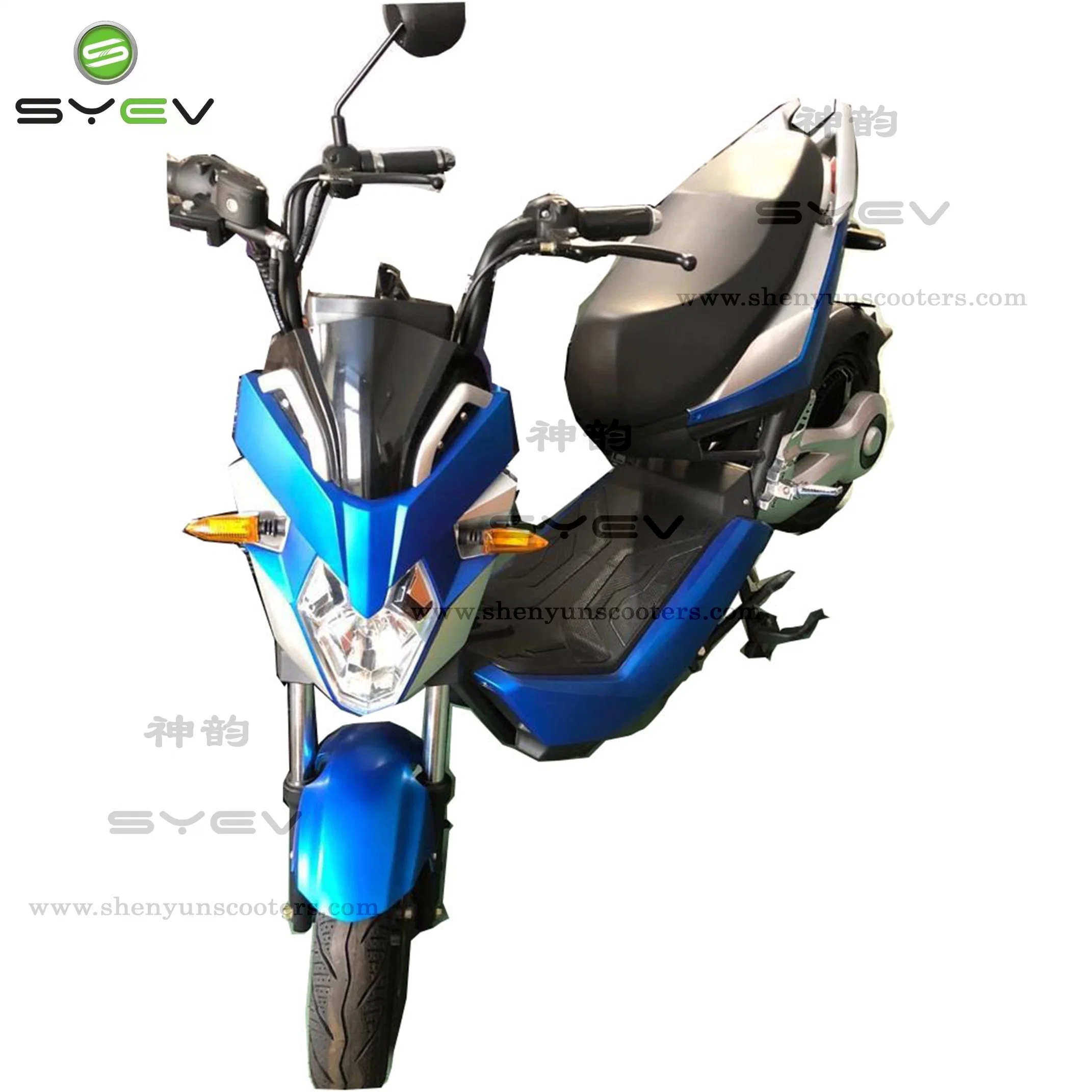 China Wholesales 2022 Nuevo Modelo Ecorider 1500W de 12 pulgadas de largo alcance de la carretera Ciudad de dos ruedas Scooter con neumáticos de la grasa de la montaña no abatible Dirt Bike eléctrica