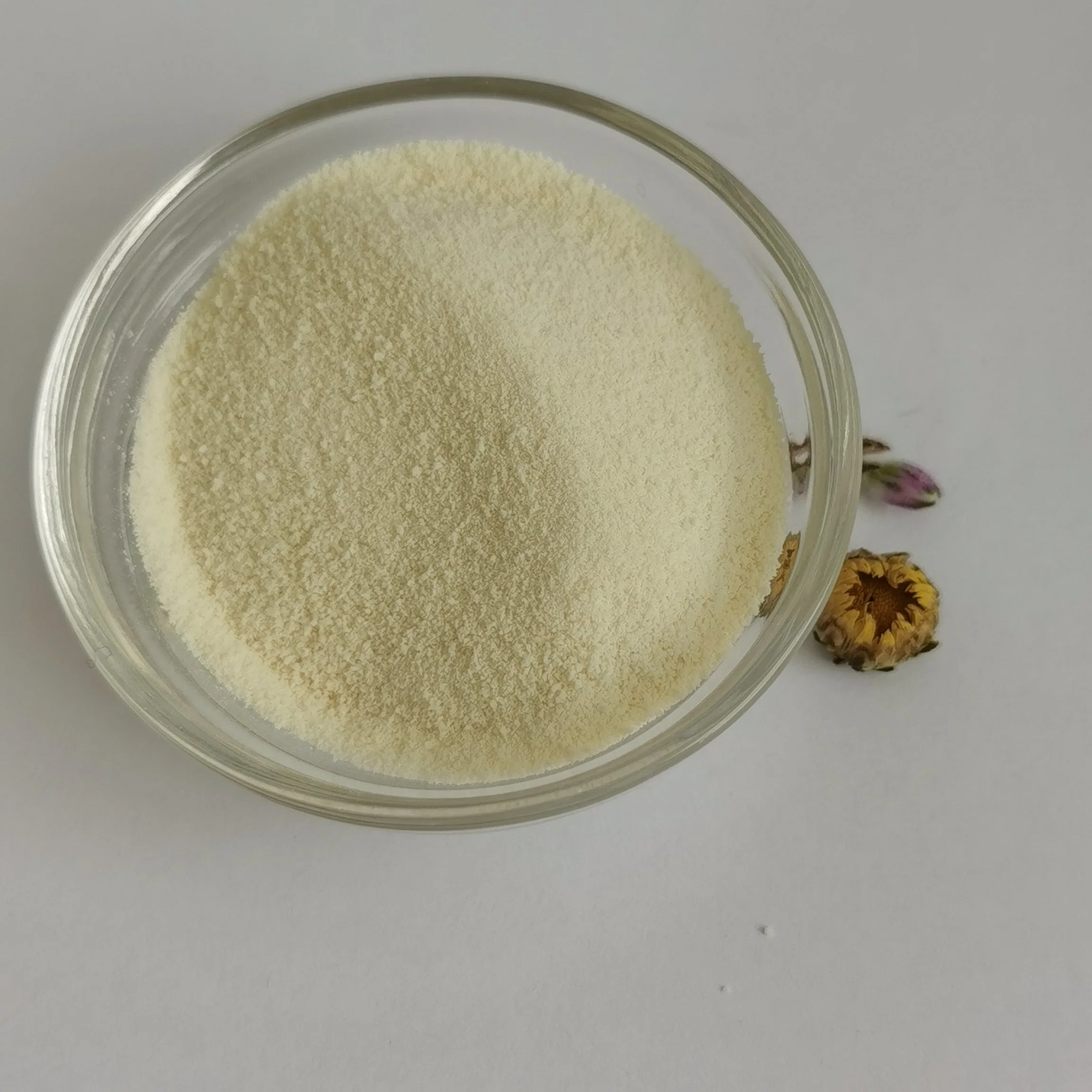 Vitamin a Acetate Powder 0.5miu/G Cws CAS No.: 127-47-9 Vitamin a