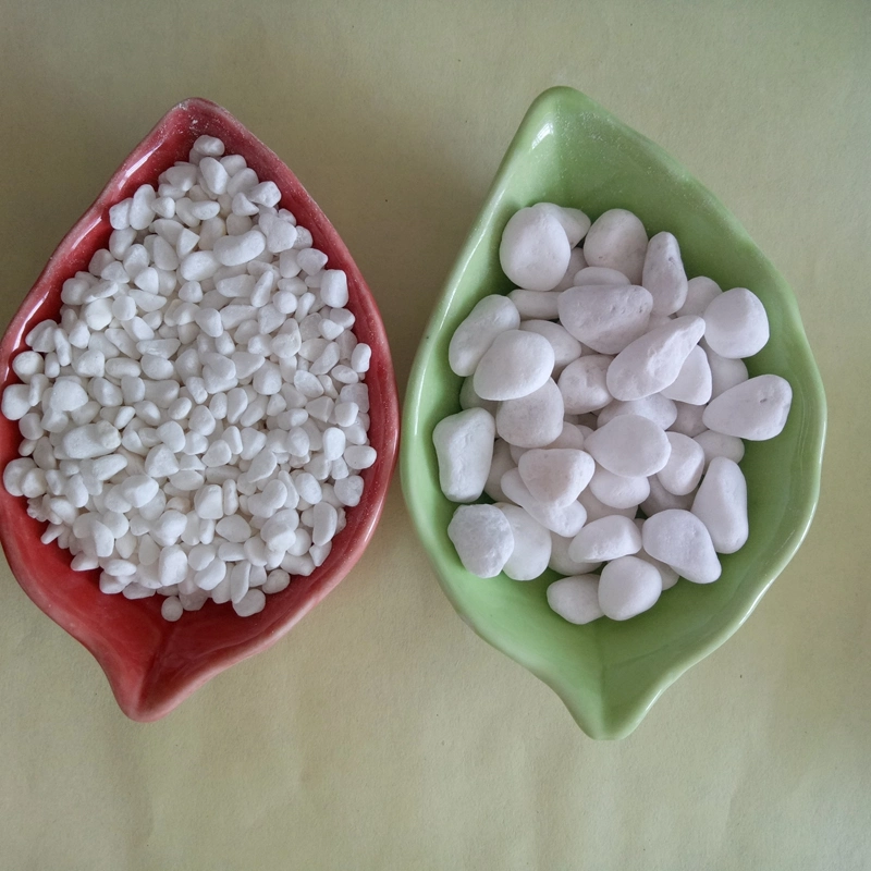 Small Pure White Pebbles/Cobblestone with Low Price