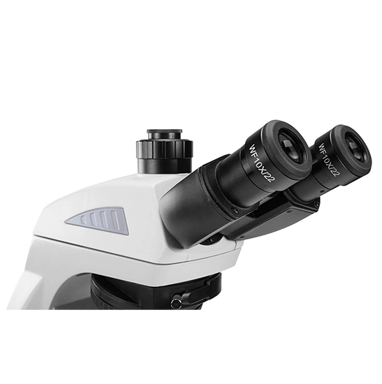 Mejor alcance BS-2074T Microscopio biológico de investigación trinocular con objetivo de agua de plan infinito 100X
