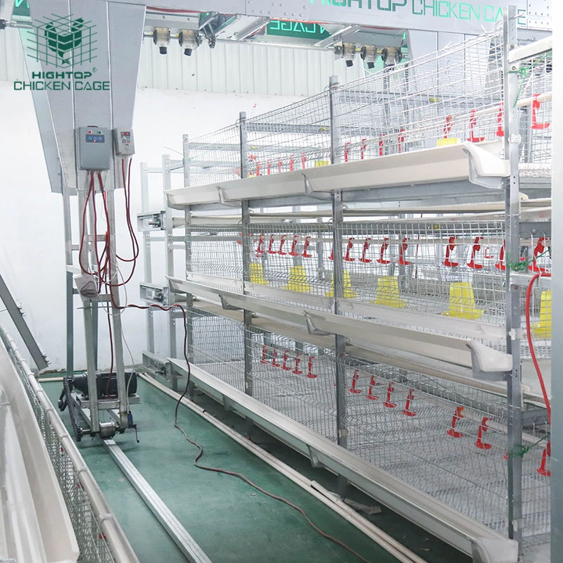 Stacked Poultry Broiler Farm Equipment Q235 Mild Steel 3 Tiers 4 Tiers H Type Automatic Broiler Chicken Battery Cage