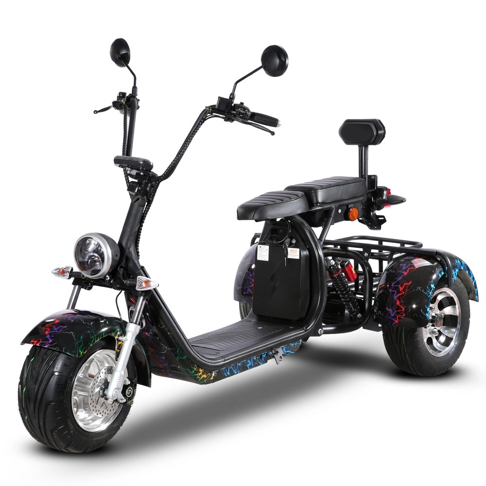 2000W 20ah Fat Tire Triciclo eléctrico batería extraíble tres ruedas Scooter eléctrico motocicleta Ciudad Coco