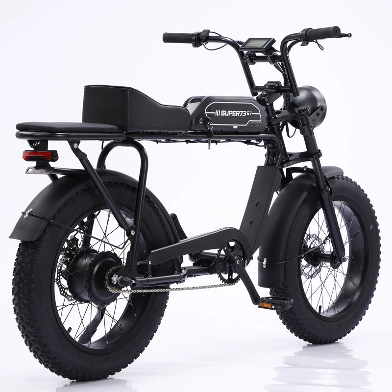 Electric Bike 2 Wheels Fat Tire Snowmobile E-Scooter Bicycle ATV